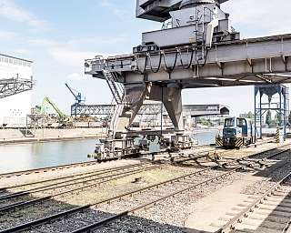 Teufelhof 2017 Rheinbrand 7427