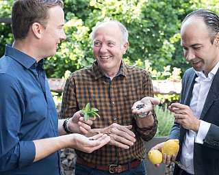 Teufelhof 2017 Rheinbrand 7836